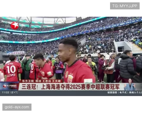 中超赛季精彩落幕：冠军悬念迭起，新星闪耀赛场