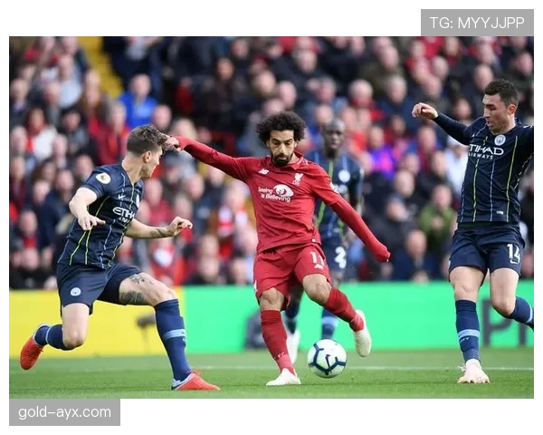 保加利亚球迷热情助威，团结一心见证球队状态强势回暖