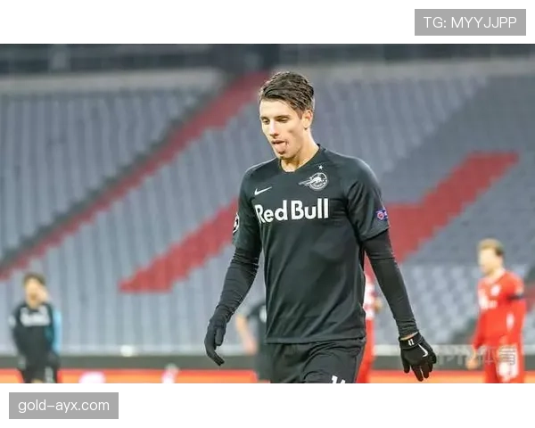 索博斯洛伊转会费创纪录,球队未来投资趋势备受关注 索博斯洛伊转会费创纪录,球队未来投资趋势备受关注